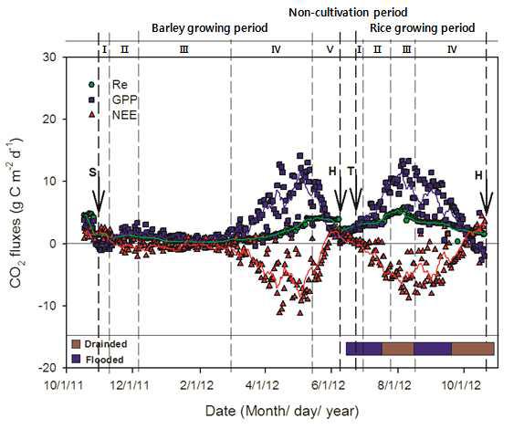 2012년의 벼-보리 이모작지에서 CO2 플럭스의 일별 변화
