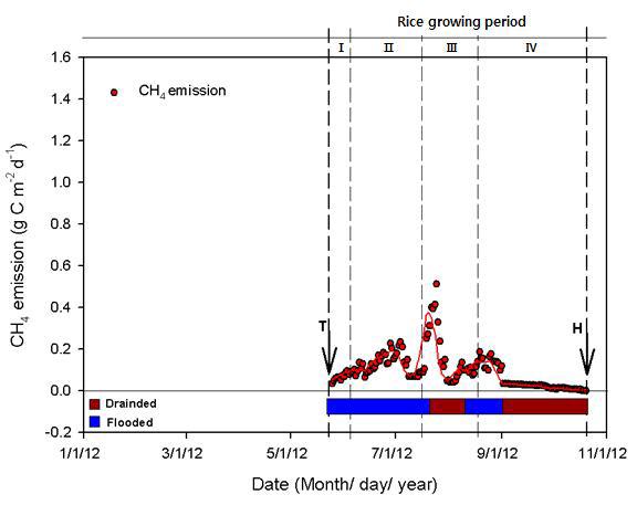 2012년의 벼 단작지에서 CH4 배출량의 일별 변화
