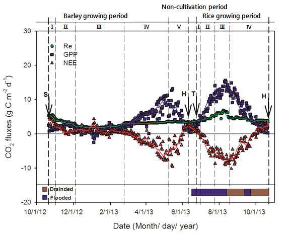 2013년의 벼-보리 이모작지에서 CO2 플럭스의 일별 변화