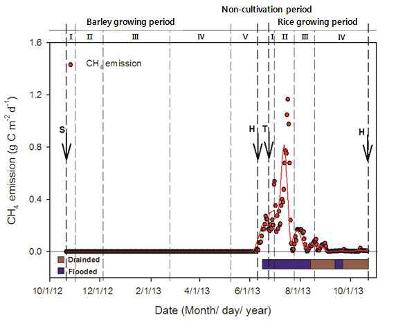 2013년의 벼-보리 이모작지에서 CH4 배출량의 일별 변화