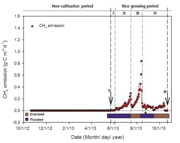 2013년의 벼 단작지에서 CH4 배출량의 일별 변화