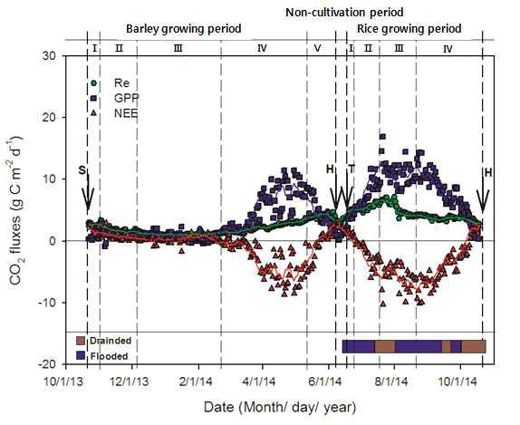 2014년의 벼-보리 이모작지에서 CO2 플럭스의 일별 변화