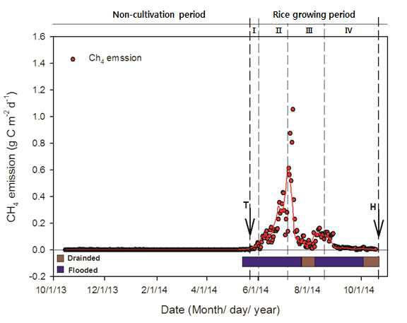 2014년의 벼 단작지에서 CH4 배출량의 일별 변화