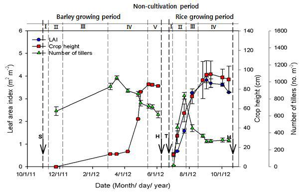2012년의 벼-보리 이모작지에서 보리/벼의 생육량 변화