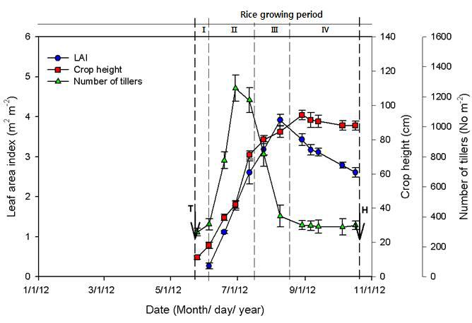 2012년의 벼 단작지에서 벼의 생육량 변화