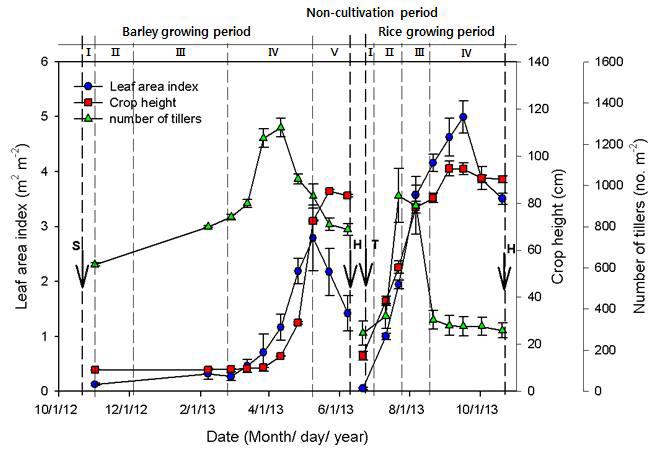 2013년의 벼-보리 이모작지에서 보리/벼의 생육량 변화