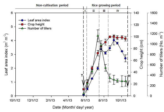 2013년의 벼 단작지에서 벼의 생육량 변화