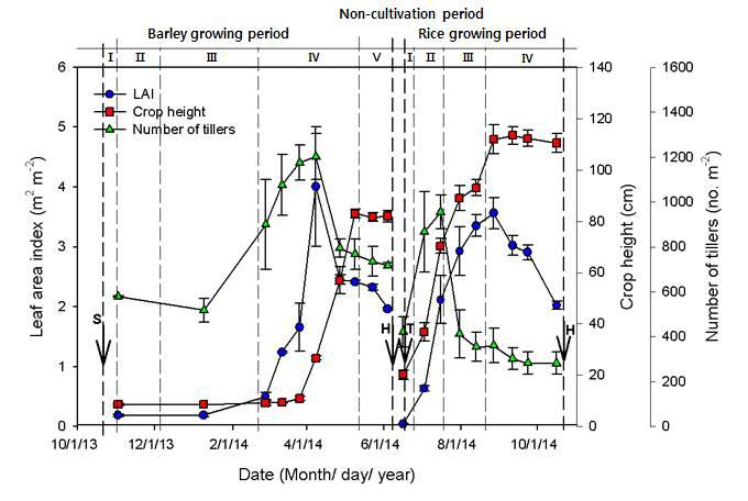 2014년의 벼-보리 이모작지에서 벼/보리의 생육량 변화