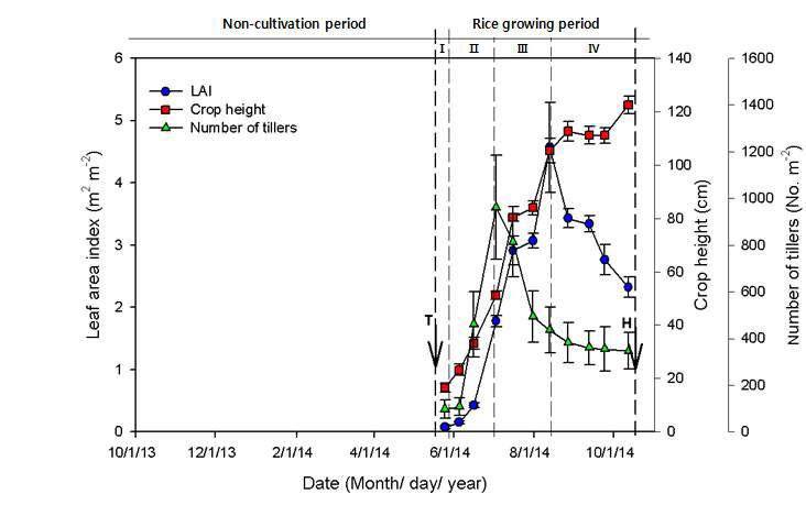 2014년의 벼 단작지에서 벼의 생육량 변화