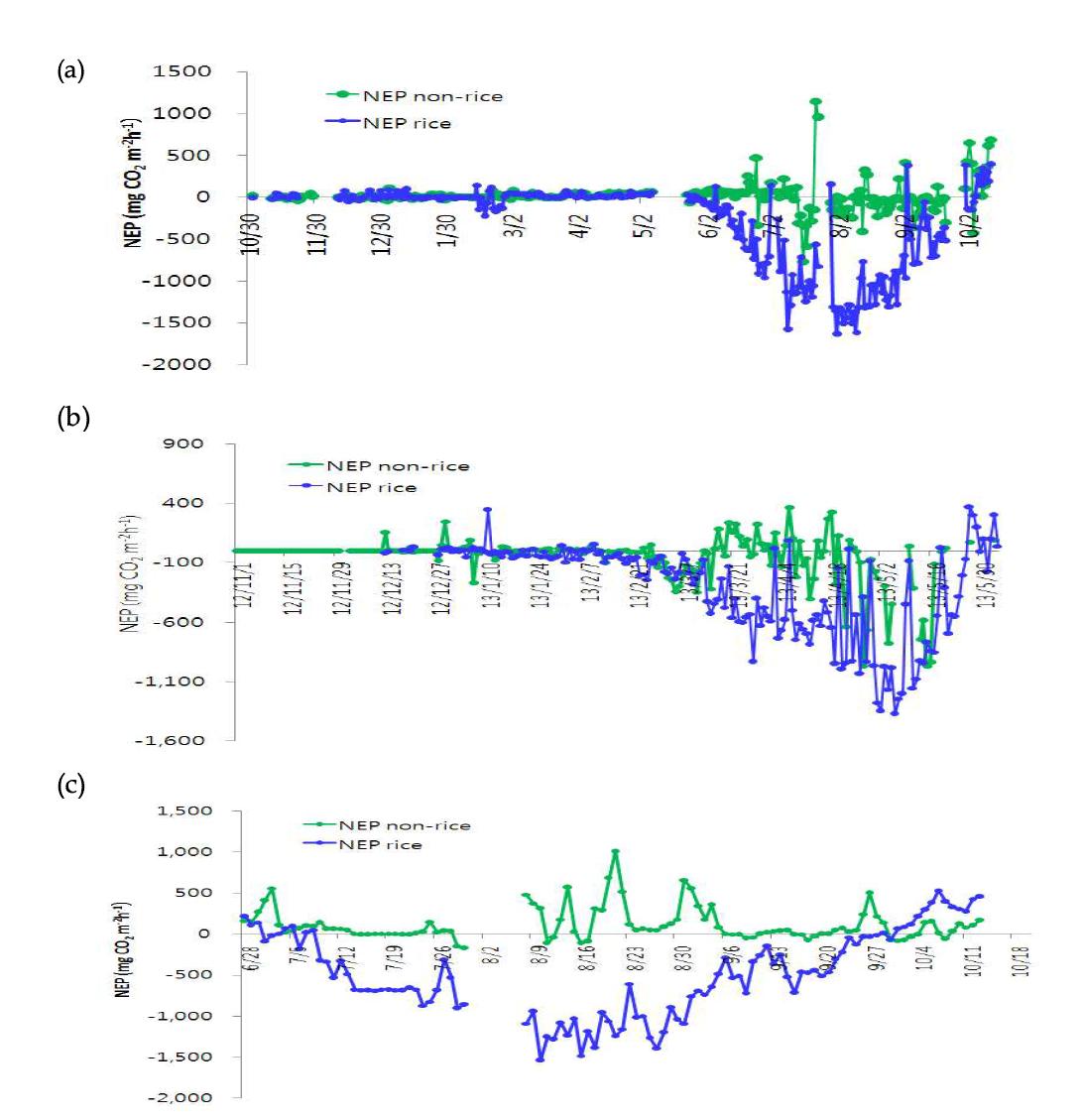 벼-보리 이모작지의 보리 생육기의 순생태계생산량(NEP)의 계절 변화