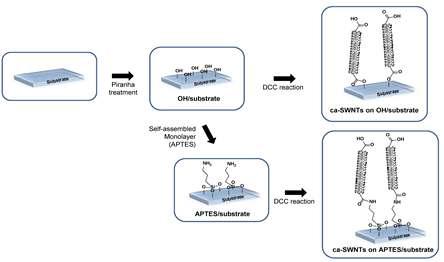 자기조립된 짧은 CNT 전극을 형성시키는 방법에 대한 개략도