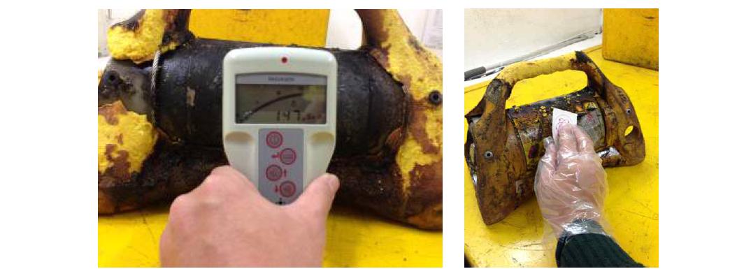 화재 노출 비파괴조사기 표면 선량률 측정 및 문지름 검사