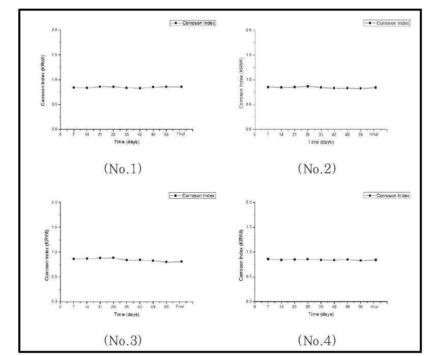 부식성 지수 경향