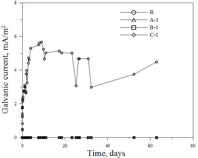 그림 3.5 장기간 3.5% NaCl 용액에 노출된 2면 코팅 철근의 갈바닉 부식전류 비교