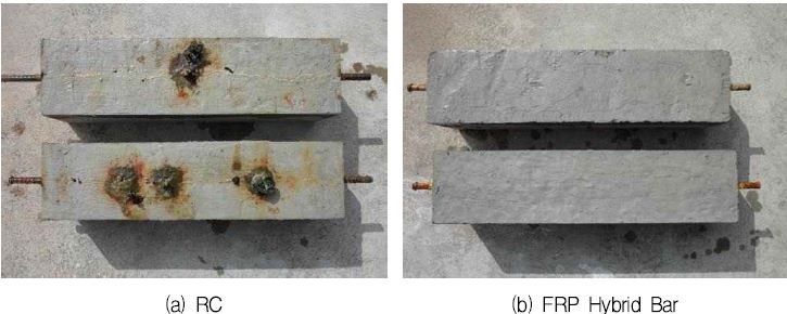 그림 5.3 피복두께 20 mm RC 및 FRP Hybrid Bar 부식 비교
