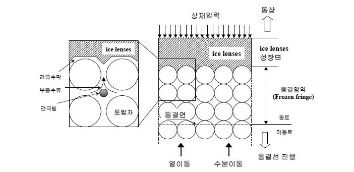 동상의 원리 (Taber, 1929)