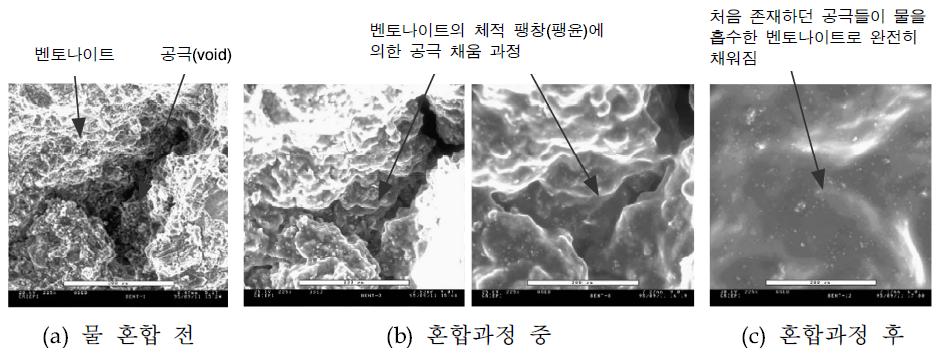 순수 벤토나이트(neat bentonite)의 팽윤(swelling) 과정.