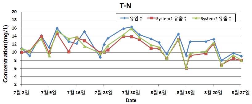 그림 4.5 Pilot 실험장치의 T-N 농도변화