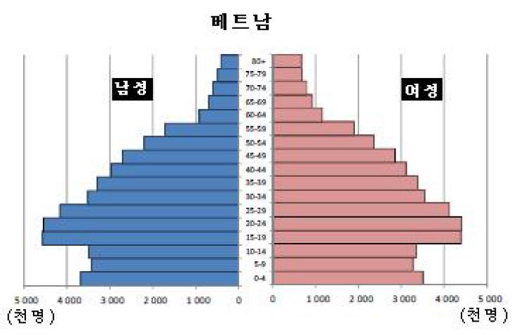 베트남의 인구피라미드(2010년)