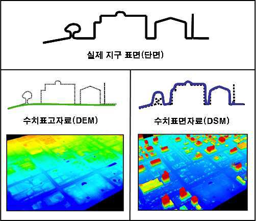 DEM 및 DSM의 비교