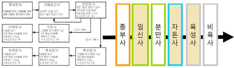 단지 내 동선을 고려한 배치 및 순환계획도