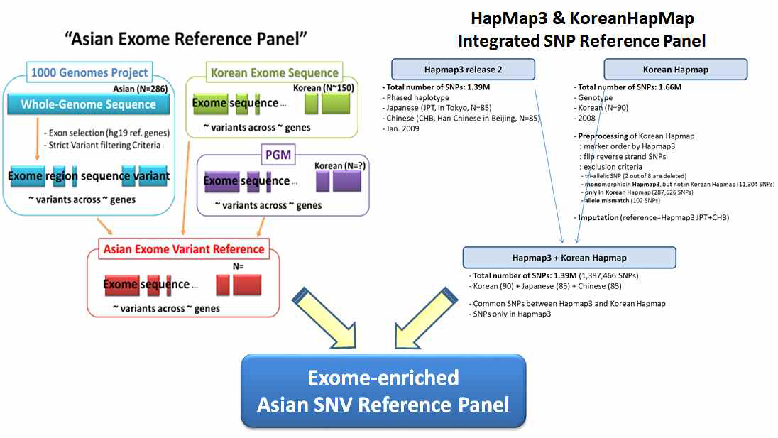 Asian Exome Reference Panel의 구성 및 [HapMap3+Korean HapMap] SNP Reference Panel과의 integration을 통한 Exome-enriched Asian SNV Reference Panel 구성