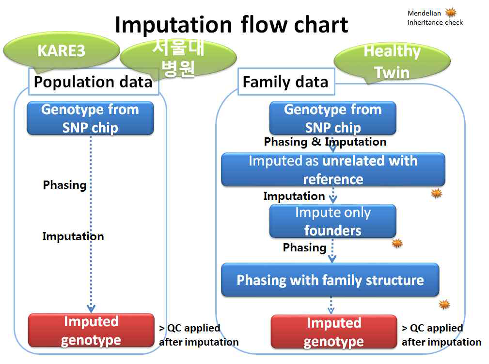 일반인구집단 자료와 가족기반 유전체 정보의 imputation 플로우차트