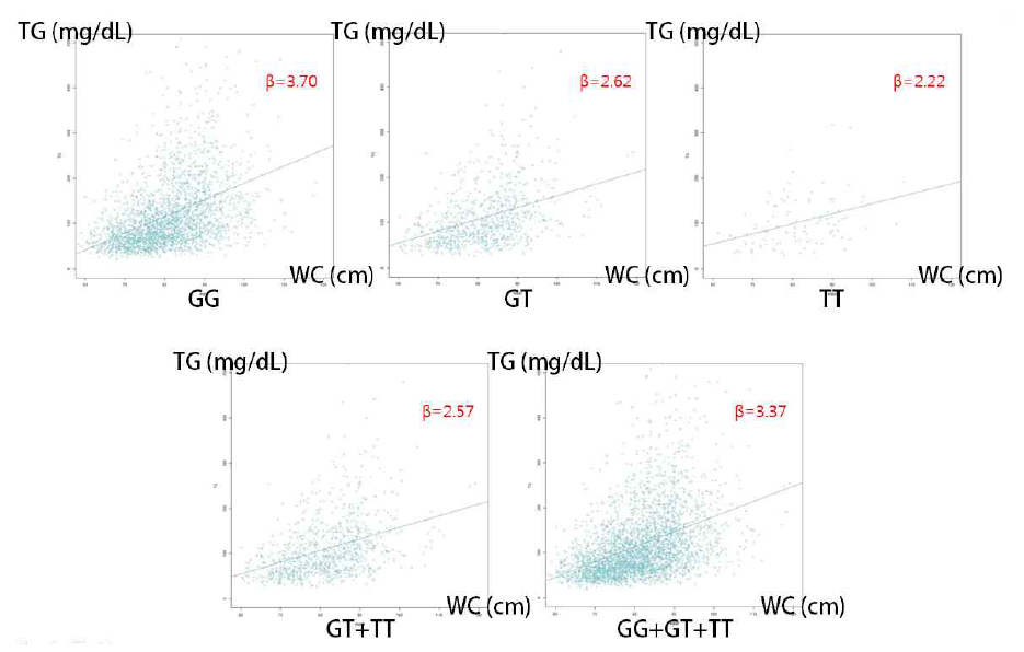 rs4546742의 각 state에서의 허리둘레(cm)에 따른 triglyceride level(mg/dL)의 변화