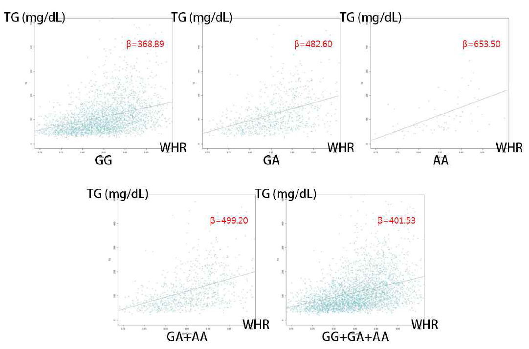 rs2243659의 각 state에서의 WHR에 따른 triglyceride level(mg/dL)의 변화