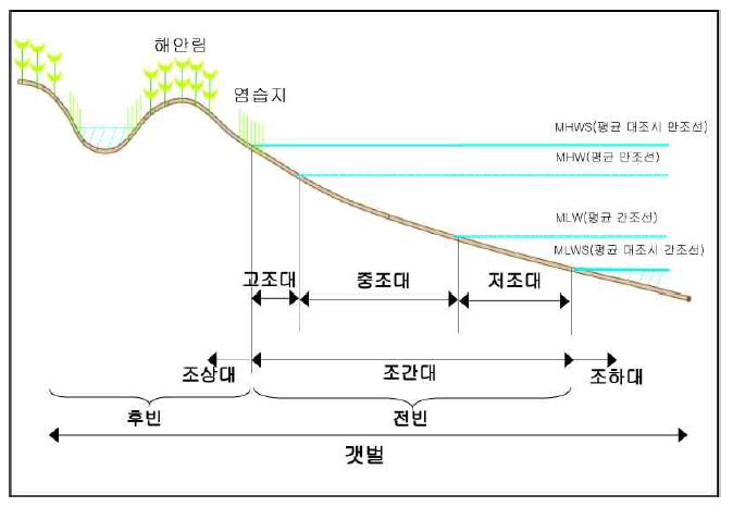 갯벌의 조석 수위에 의한 공간구분