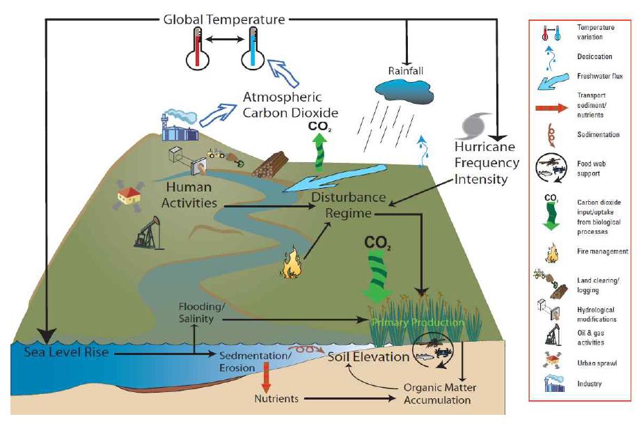 공간구조 관측인자에 의한 CO2 플럭스 모식도