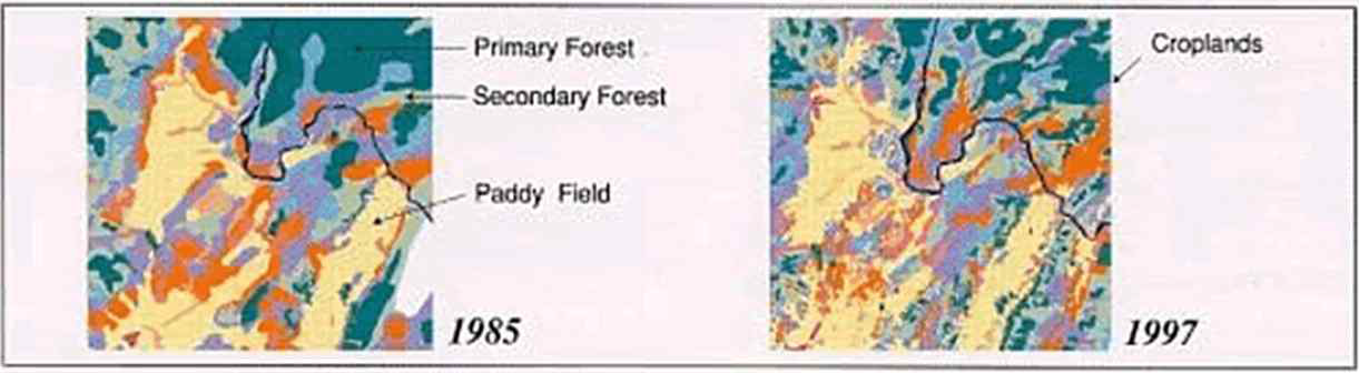 Landuse Changes