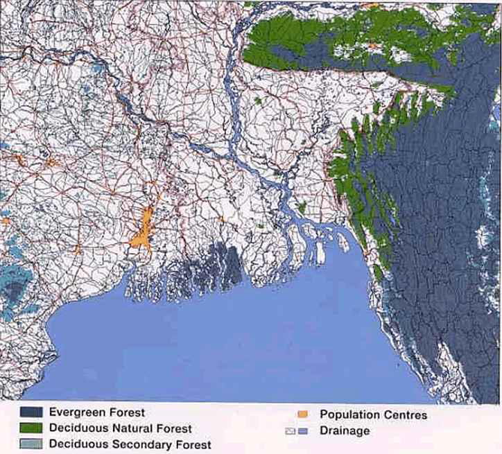 Distribution of City and Vegetaton