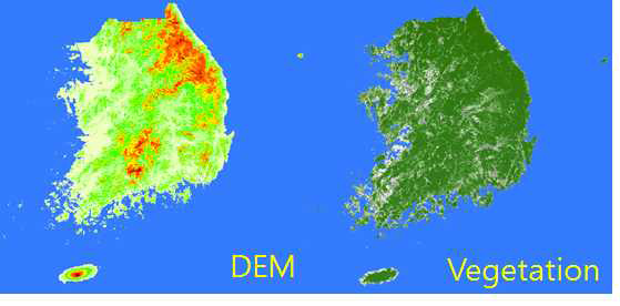 글로벌 맵(DEM, Vegetation)