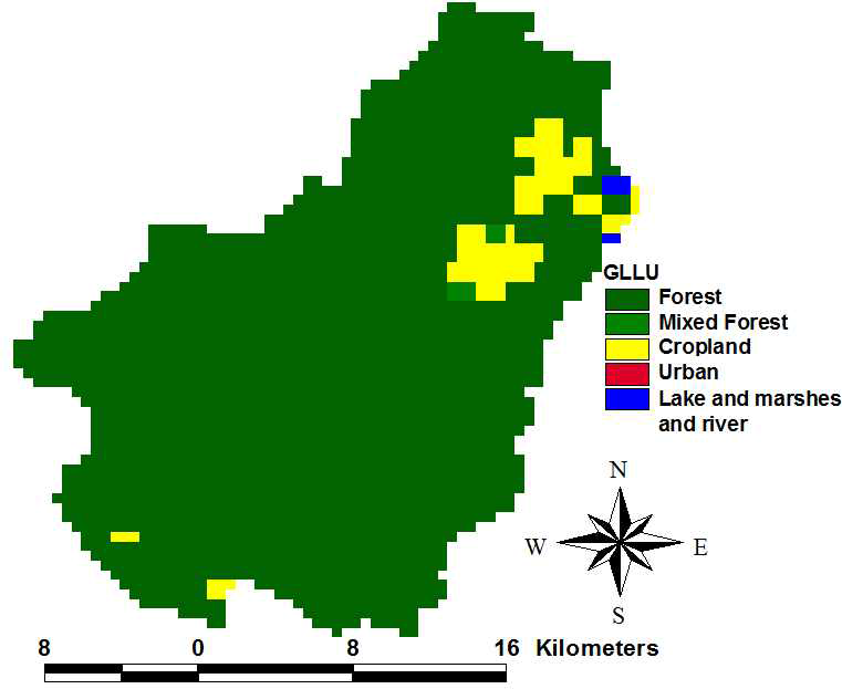 Global Map(Landuse map)