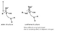 ester, urethane 구조의 가수 분해성 비교