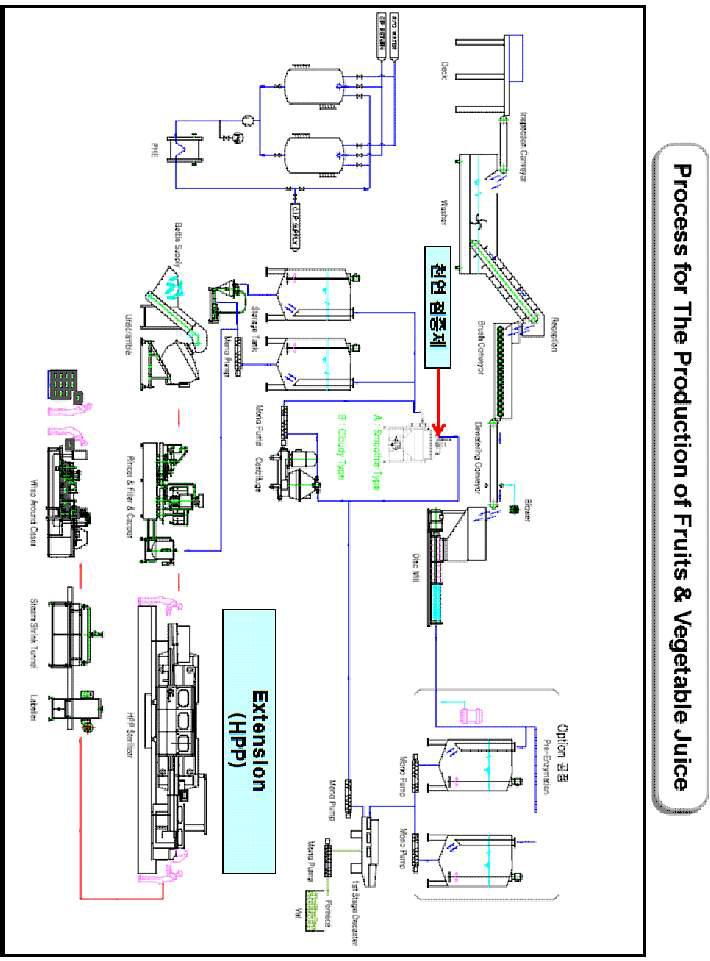 Process Flow Diagram of fruit and vege표 juices for baby