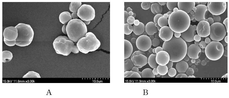 Scanning electron microphotographs of spray-dried microcapsules for peanut sprout extracts