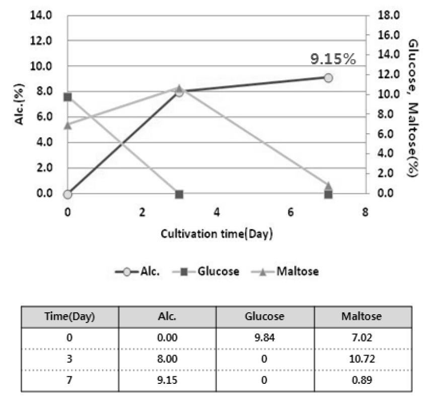 현미농축액(포도당, 맥아당)을 이용한 알코올 발효