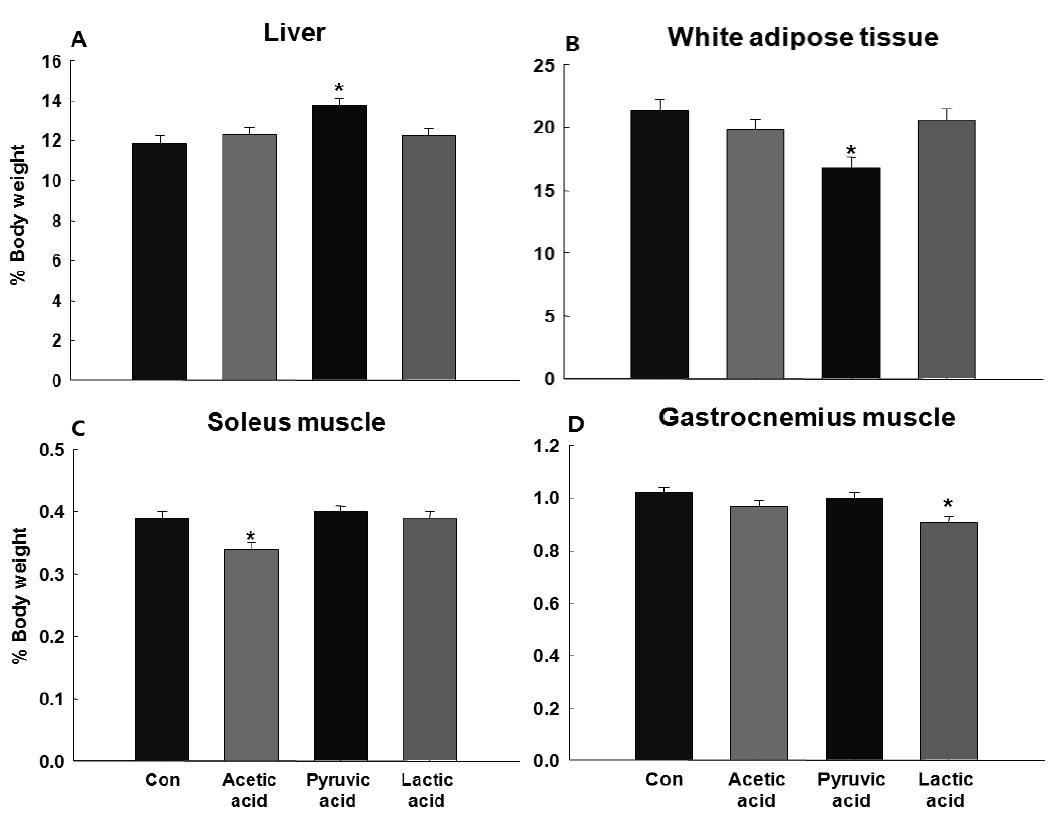 유기산 혹은 젖산을 섭취하며 트레드밀 운동을 실시한 쥐의 조직 무게변화