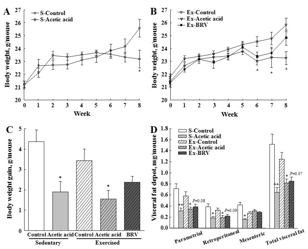 비운동 (Sedentary, S) 및 운동 (Exercised, Ex) 시 초산 및 3단 발효식초 투여가 생쥐의 체중 (A, B, C) 및 지방조직 무게에 (D) 미치는 영향