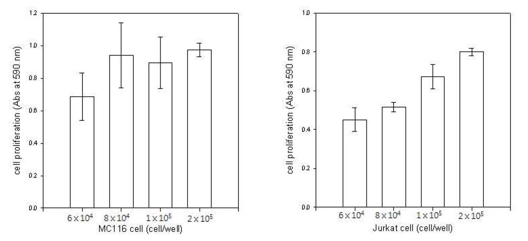 세포 농도에 따른 MC116 cell과 Jurkat cell의 생장도