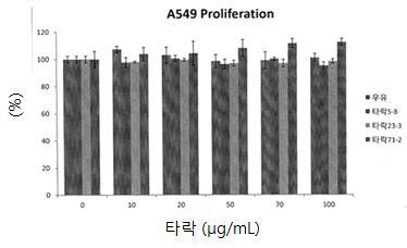 A549 (폐암세포) cell proliferation