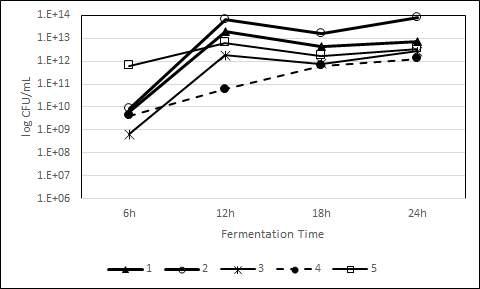 Changes of viable cell count in Tarak prepared by different fermentation time and strain.