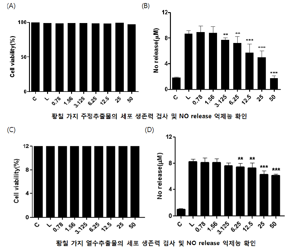 LPS로 자극된 microglia 세포에서 황칠나무 줄기의 주정추출물 및 열수추출물에 대한 세포독성및 NO방출 저해능 확인