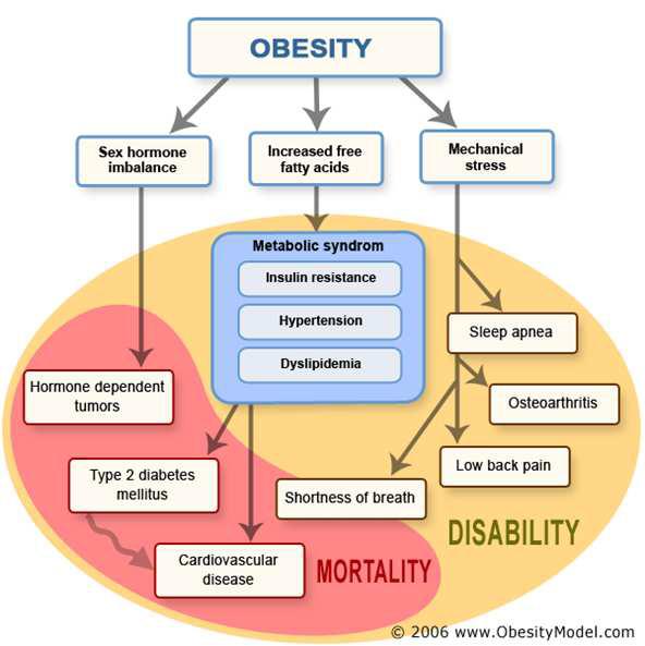 Impact of obesity on health