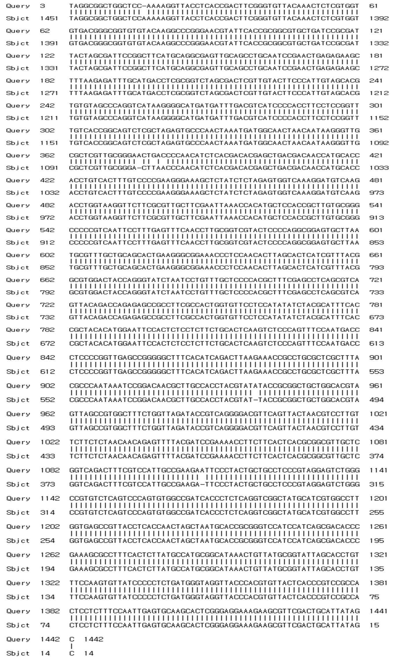 16S rRNA sequencing of A-86 strain