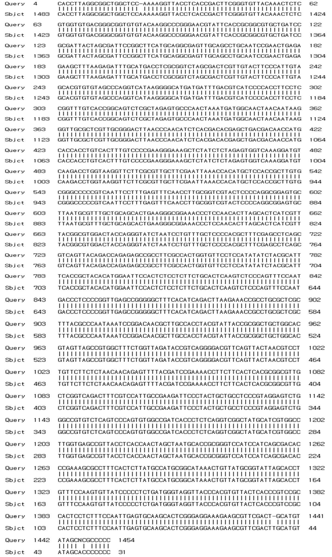 16S rRNA sequencing of A-192 strain