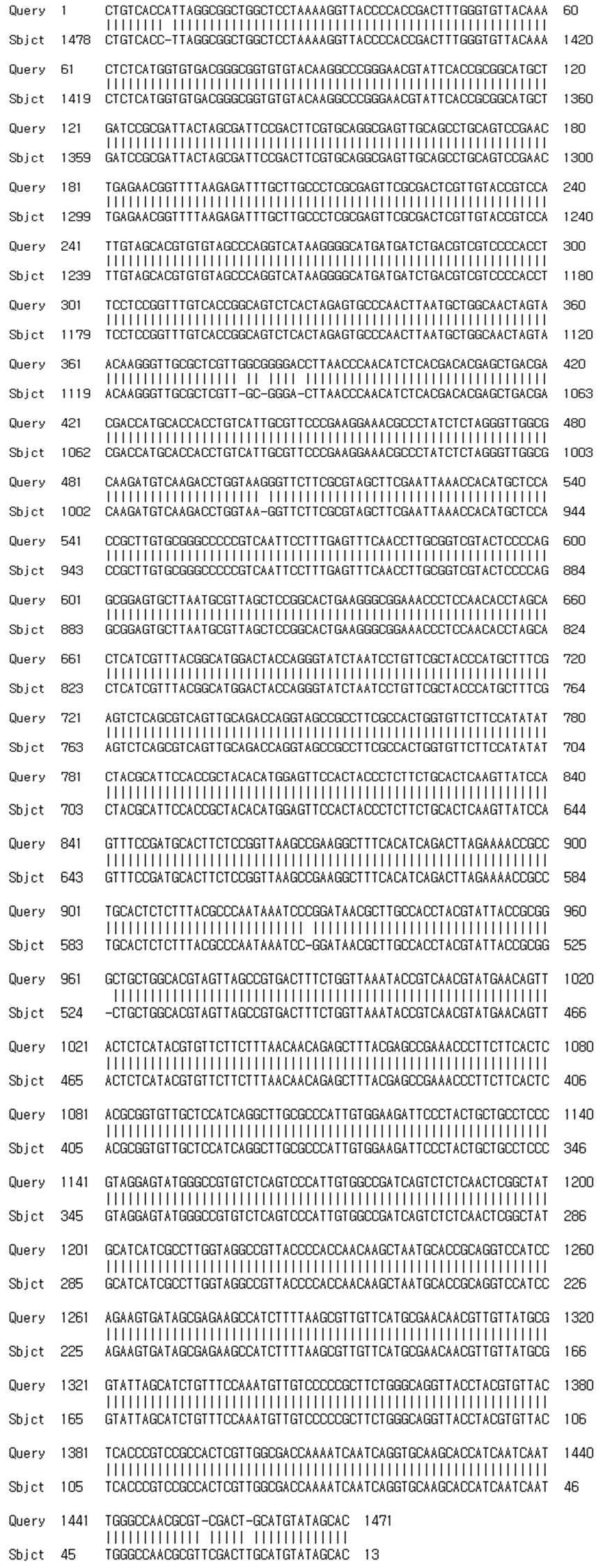 16S rRNA sequencing of B-182 strain