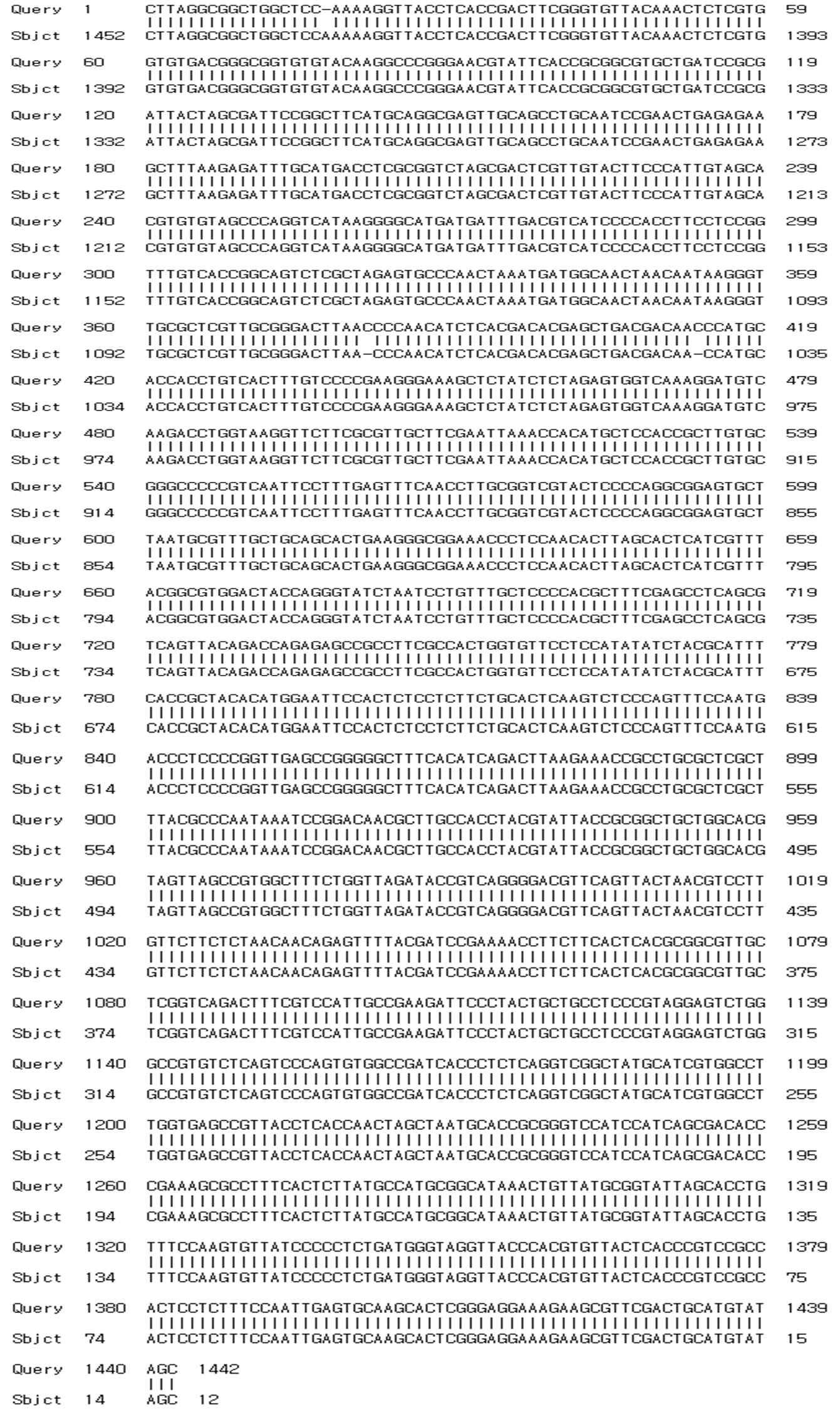 16S rRNA sequencing of C-85 strain